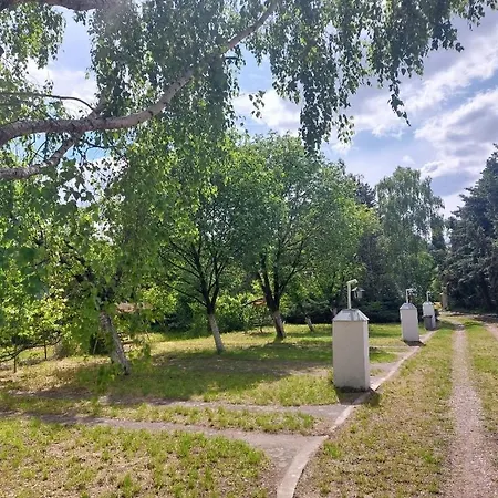 Camp Pipacs Bácsfeketehegy